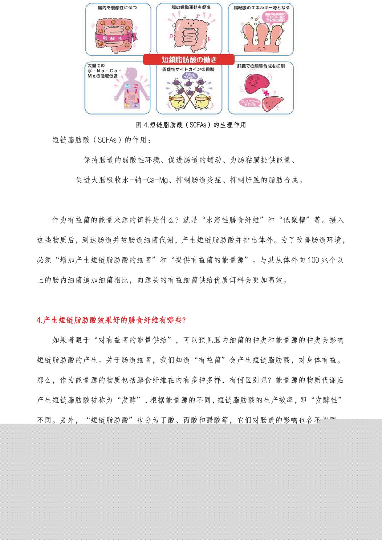 圖片關鍵詞